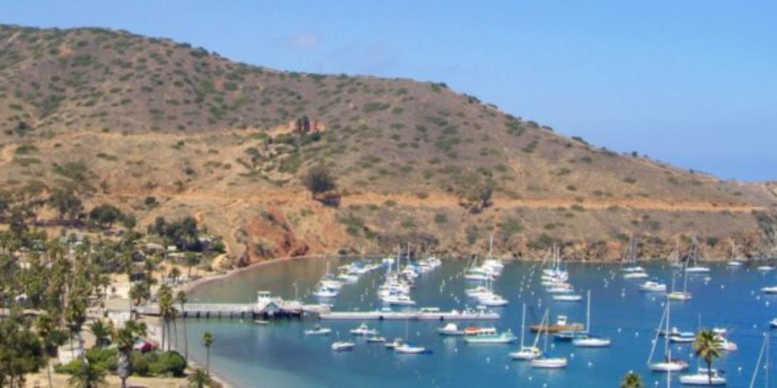 Catalina Island Sailing to Romance Island